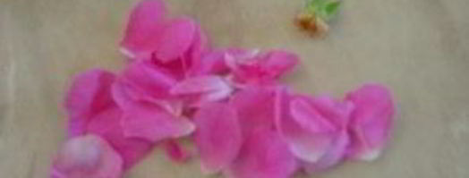 розовое варенье пятиминутка. Шаг 2