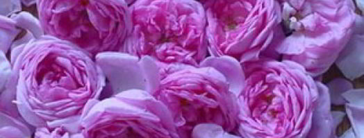 розовое варенье. Шаг 5