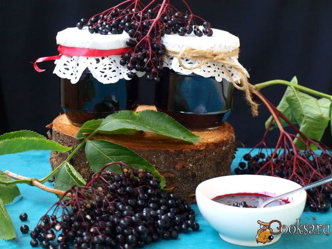 Рецепт варенья из черной бузины