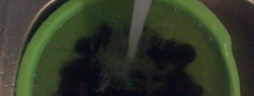 варенье из грецких орехов. Шаг 12