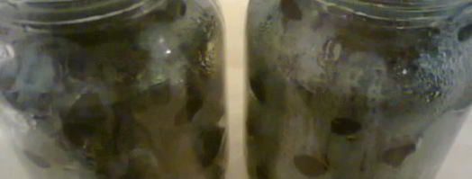 варенье из грецких орехов. Шаг 18