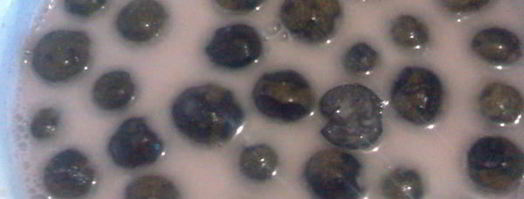 варенье из грецких орехов. Шаг 9