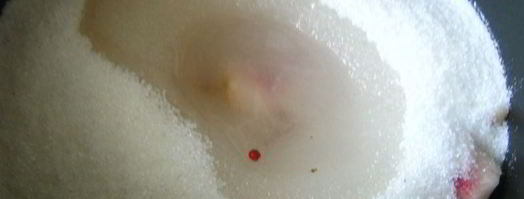 варенье из инжирного персика с лимоном и розовым перцем. Шаг 7