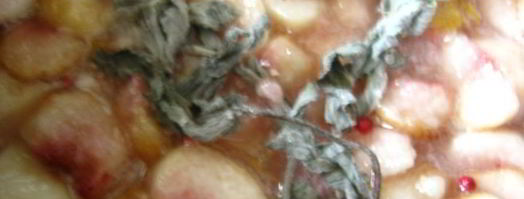 варенье из инжирного персика с лимоном и розовым перцем. Шаг 9