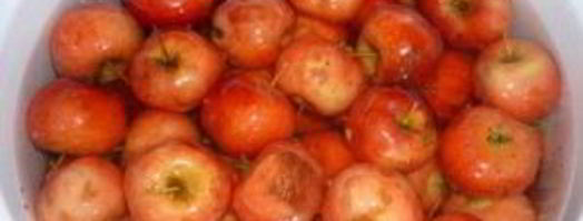 варенье из китайки. Шаг 3