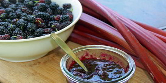 Варенье из шелковицы