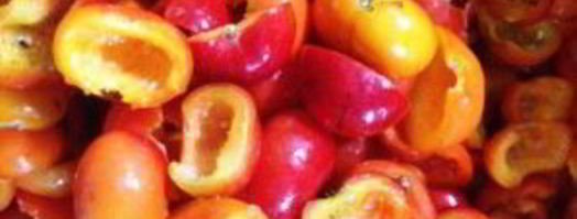 варенье из шиповника. Шаг 2