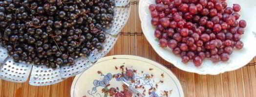 варенье из смородины и крыжовника. Шаг 7