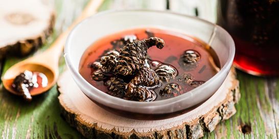 Варенье из сосновых шишек