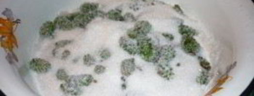 варенье из зеленых сосновых шишек. Шаг 2