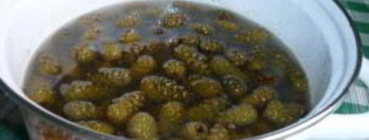 варенье из зеленых сосновых шишек. Шаг 3