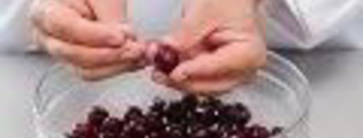 вишневое варенье в мультиварке. Шаг 2