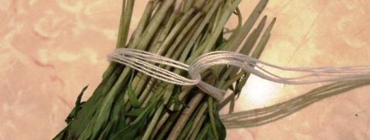 заготовка пряности — чабер, эстрагон. Шаг 3