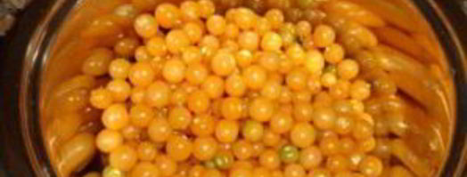 заготовки из физалиса. Шаг 2