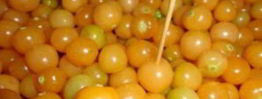 заготовки из физалиса. Шаг 3