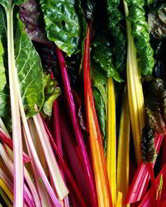 Заготовки из мангольда