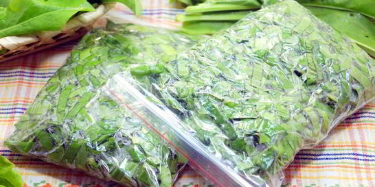 Заморозка щавеля на зиму