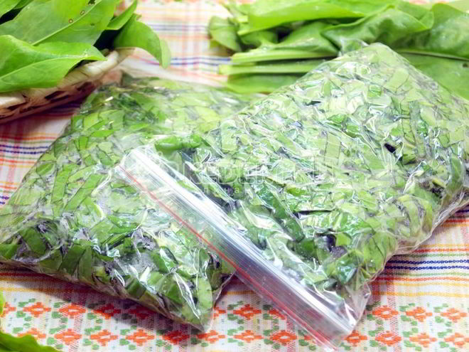 Рецепт заморозки щавеля на зиму