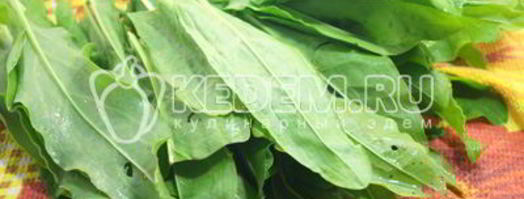 заморозка щавеля на зиму. Шаг 2