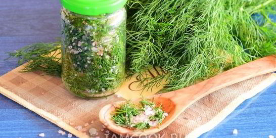 Засолка укропа на зиму