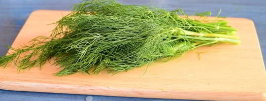 засолка укропа на зиму. Шаг 4