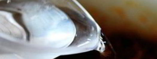 американский бутерброд с говядиной. Шаг 9