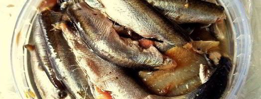 бутерброд килька, картошка, киви. Шаг 2