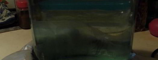 домашний сыр с зеленью. Шаг 7