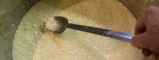 голландский твердый сыр. Шаг 2