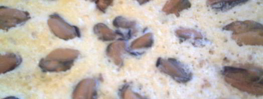 морской омлет. Шаг 6