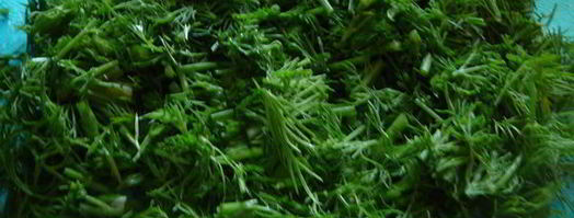 омлет с чесночными стрелками. Шаг 8