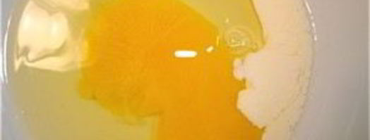 омлет со сливками. Шаг 7