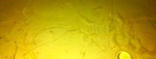 воздушный омлет. Шаг 6