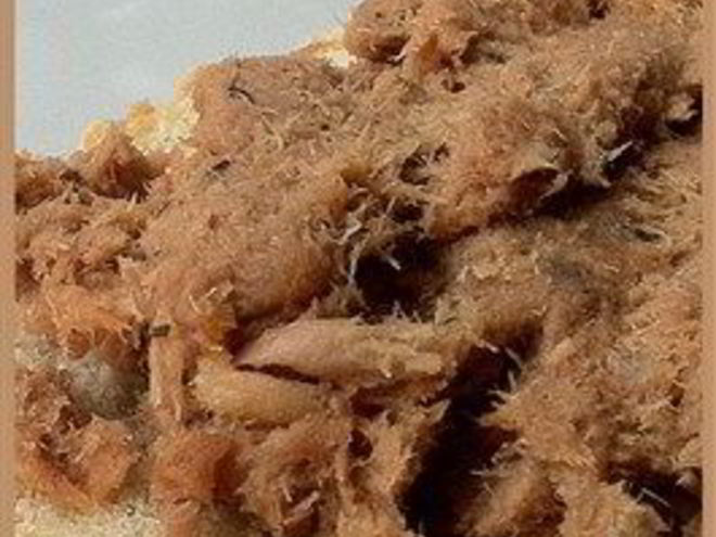 Рецепт паштета из консервированной рыбы