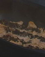 Паштет из кролика со сливами