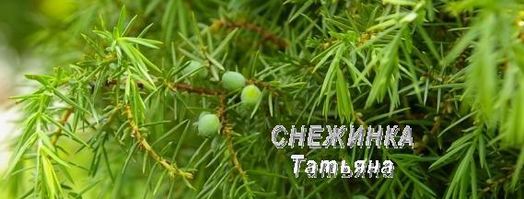 паштет куриный с черникой. Шаг 2