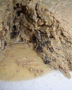 Паштет печеночный с шампанским