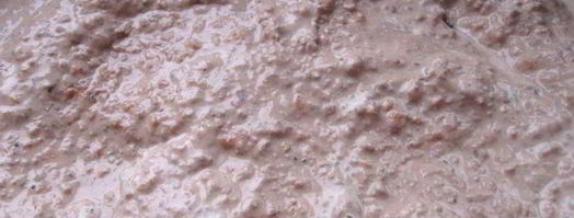 паштет пустыня сахара. Шаг 7