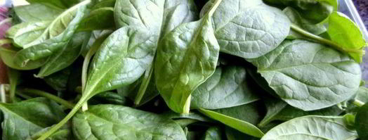 селедочный паштет на фасолевых котлетах. Шаг 17