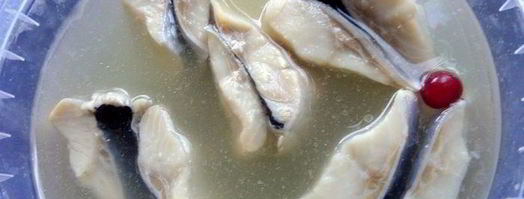 селедочный паштет на фасолевых котлетах. Шаг 9