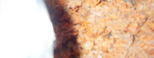 желированный паштет с сыром. Шаг 7