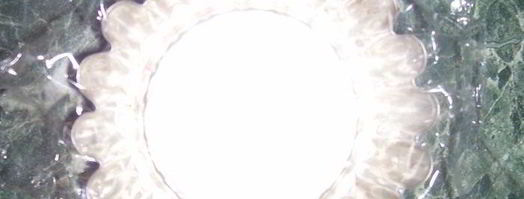 желированный паштет с сыром. Шаг 9