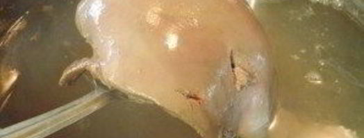 печеночный рулет. Шаг 2