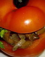 Помидоры, фаршированные солеными грибами