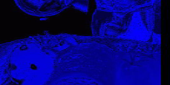 Куриный рулет с чесноком