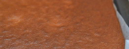 рулет медовый с карамелью и арахисом. Шаг 6