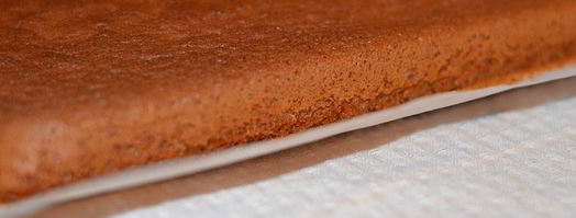 рулет медовый с карамелью и арахисом. Шаг 7