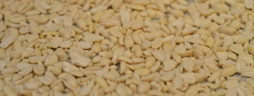 рулет медовый с карамелью и арахисом. Шаг 9