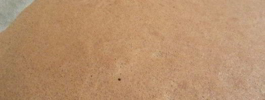 рулет шоколадно-карамельный. Шаг 10