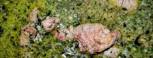 рулеты из говядины прованские огурчики. Шаг 12